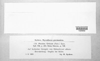 Image Associated With the Occurence